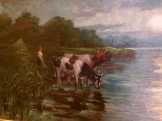 Itatás szürkületkor, a Tiszazugi holt Tisza part