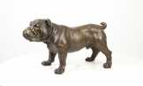 bronz angol bulldog YY-90
